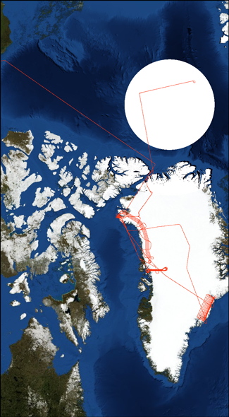 Map of Greenland Showing LVIS Coverage