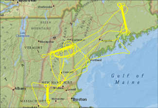 Map of New England Showing LVIS Coverage